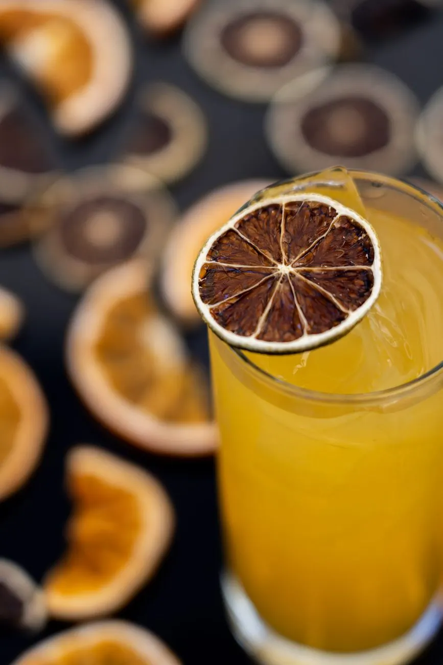 Koktejl se sušeným citrusem, nápojová fotografie Everything Pardubice